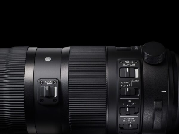 Sports<br class="hb"> SIGMA 150-600mm f/5-6.3 DG OS HSM — изображение 6
