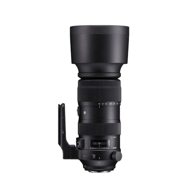 Sports<br class="hb"> SIGMA 60-600mm f/4.5-6.3 DG OS HSM — изображение 2