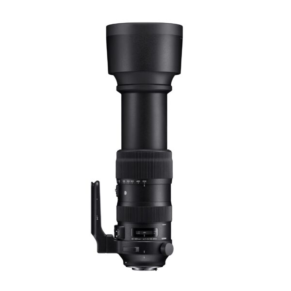 Sports<br class="hb"> SIGMA 60-600mm f/4.5-6.3 DG OS HSM — изображение 3