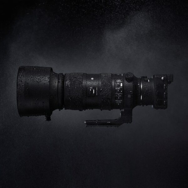 Sports<br class="hb"> SIGMA 60-600mm f/4.5-6.3 DG OS HSM — изображение 4