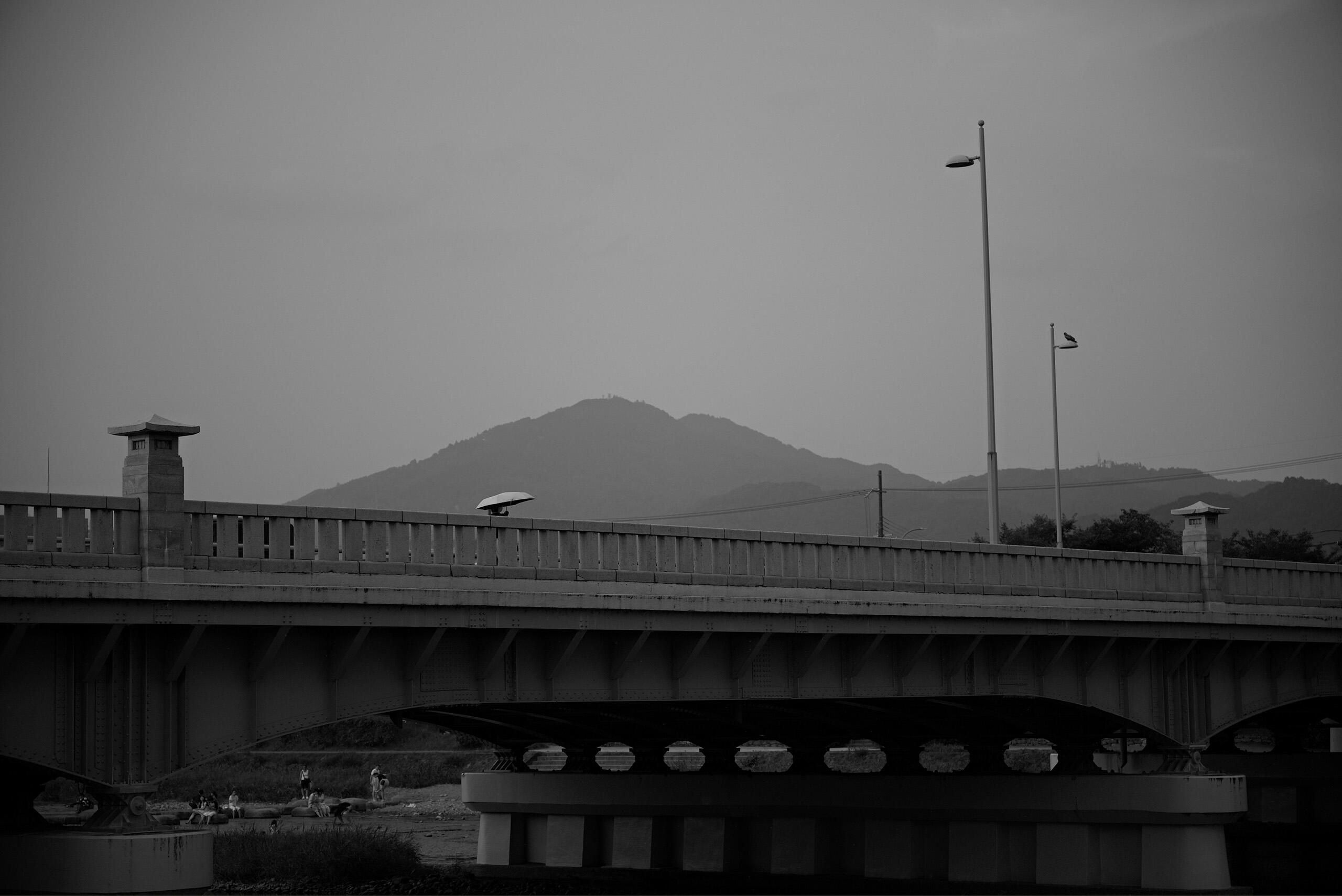 MONOCHROME