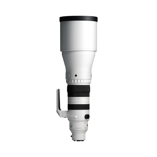 SIGMA 300-600mm F4 DG OS | Sports