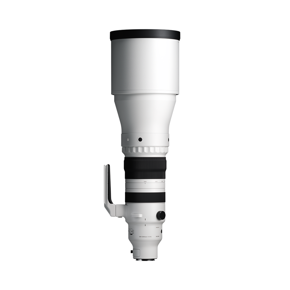 SIGMA 300-600mm F4 DG OS | Sports