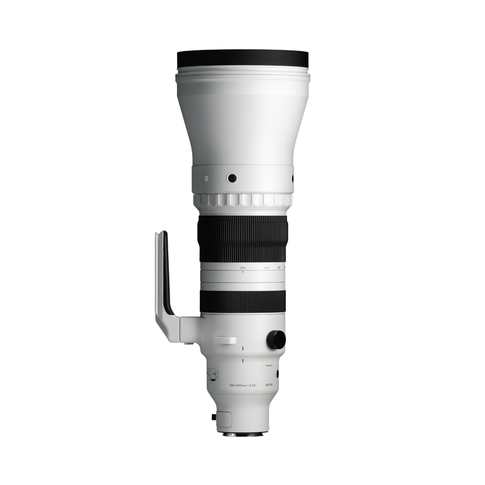 SIGMA 300-600mm F4 DG OS | Sports
