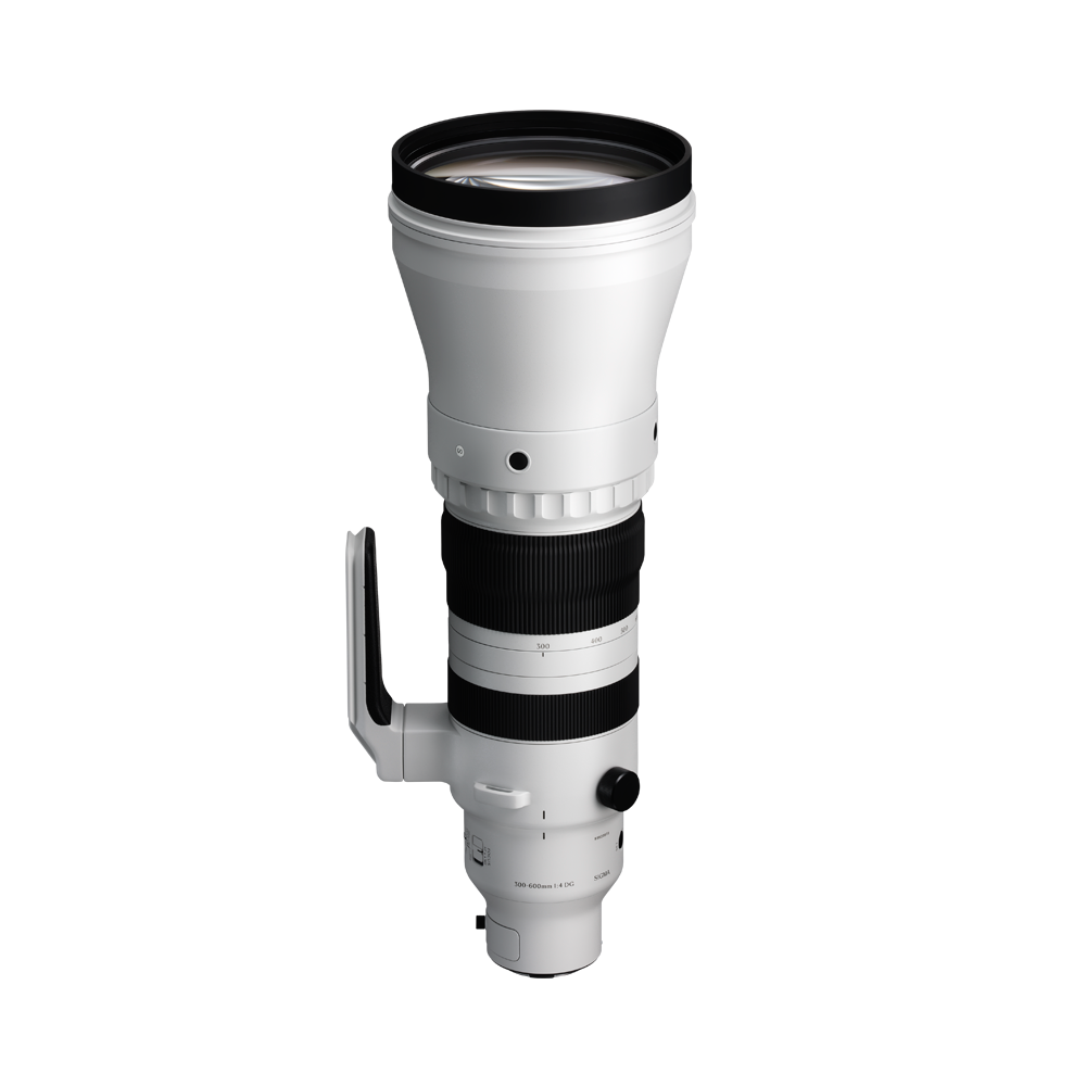 SIGMA 300-600mm F4 DG OS | Sports