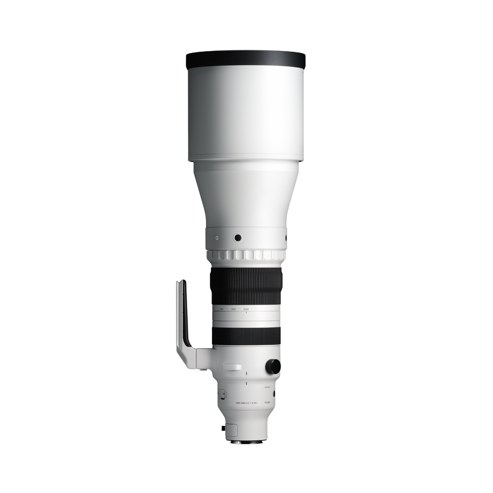 SIGMA 300-600mm F4 DG OS | Sports