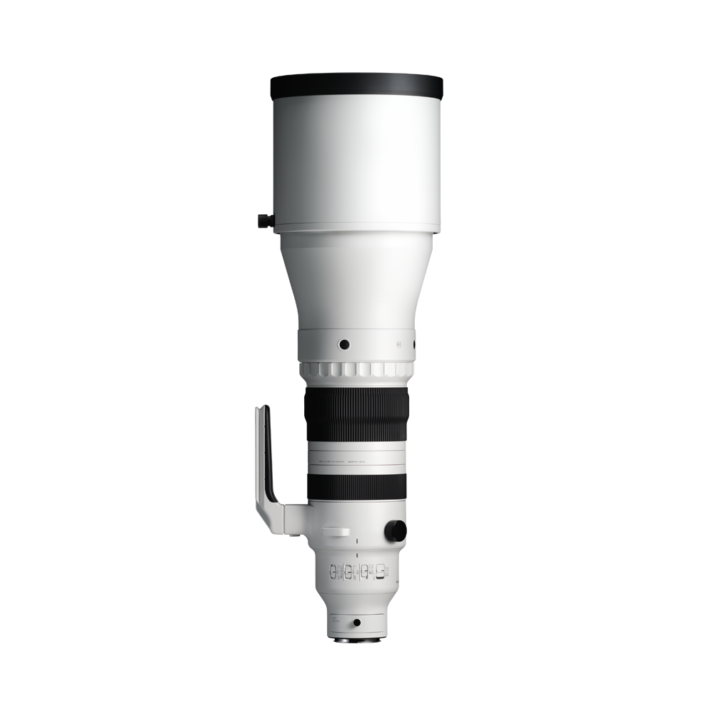 SIGMA 300-600mm F4 DG OS | Sports