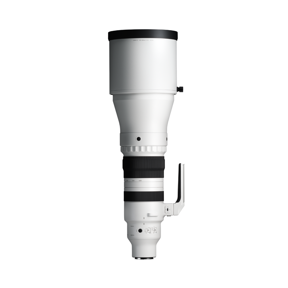 SIGMA 300-600mm F4 DG OS | Sports